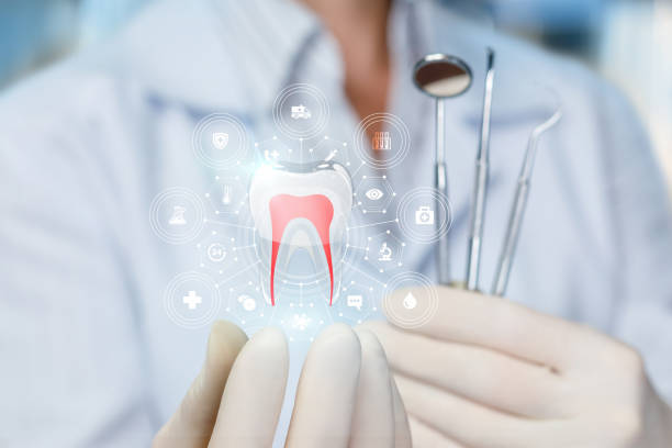  Discovery Bay, CA Dental Services Pros